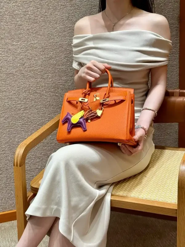 Hermès Birkin
