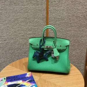 Hermès Birkin Touch 25cm